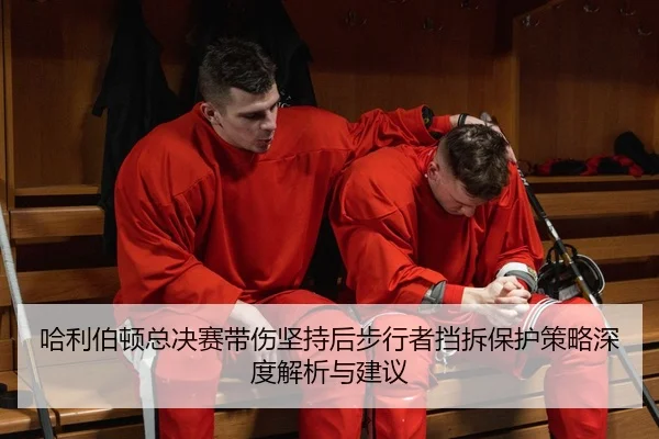 ha-li-bo-dun-zong-jue-sai-dai-shang-jian-chi-hou-bu-xing-zhe-dang-chai-bao-hu-ce-lve-shen-du-jie-xi-yu-jian-yi-2-736.jpg
